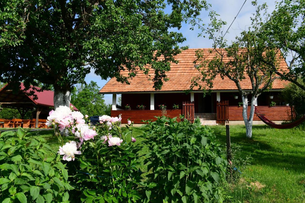 House Luna Rakovica Esterno foto