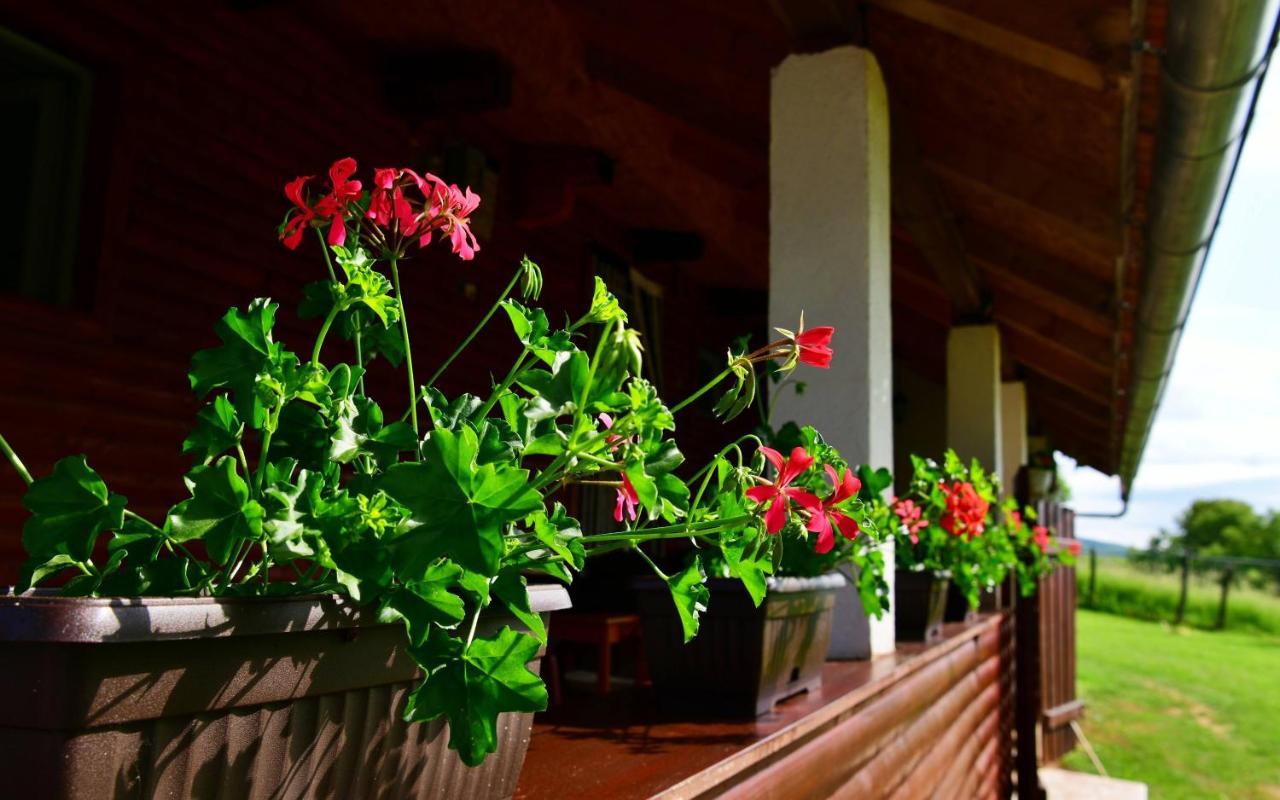 House Luna Rakovica Esterno foto